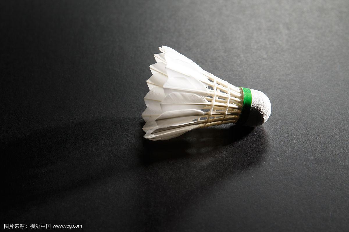 所以对他情 所以对他情