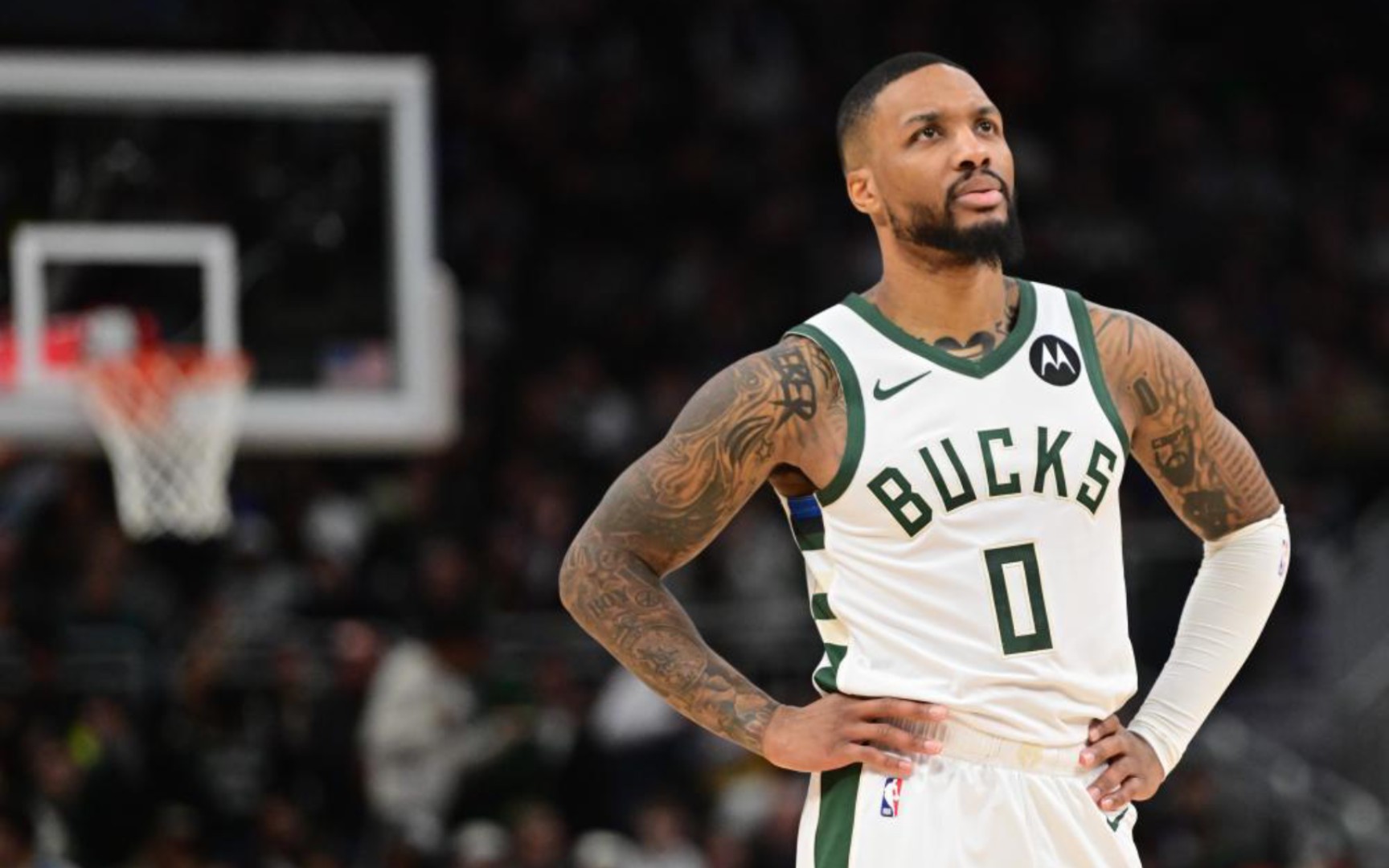 社交媒体上 社交媒体上